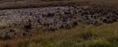 Terreno amplo, documentado e perto da lagoa - foto 3