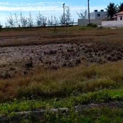 Terreno amplo, documentado e perto da lagoa - foto 2